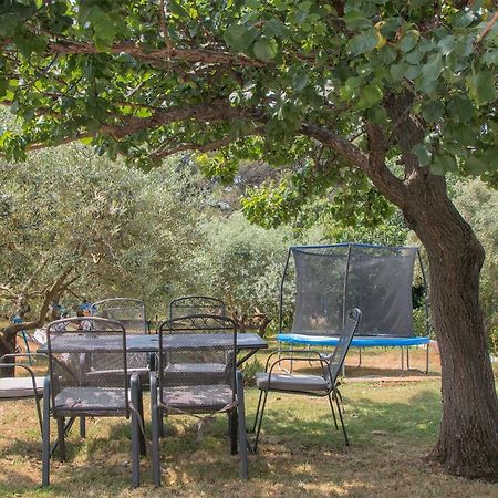 Apartman Olea Пула Экстерьер фото